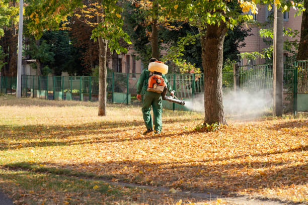 Best Bird Control  in Montpelier, IN